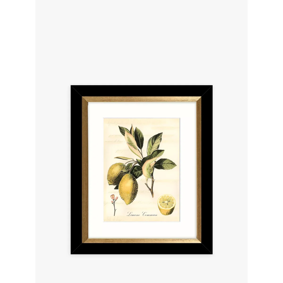 Tuscan Fruit - Framed Prints & Mounts, Set of 4, 36.5 x 30.5cm, Orange/Multi – image 4