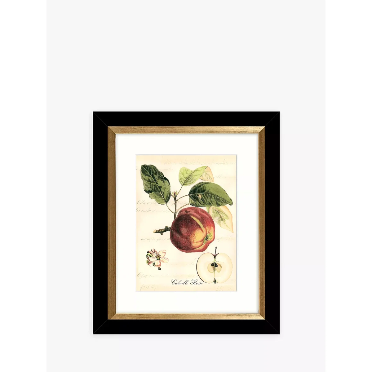 Tuscan Fruit - Framed Prints & Mounts, Set of 4, 36.5 x 30.5cm, Orange/Multi – image 5