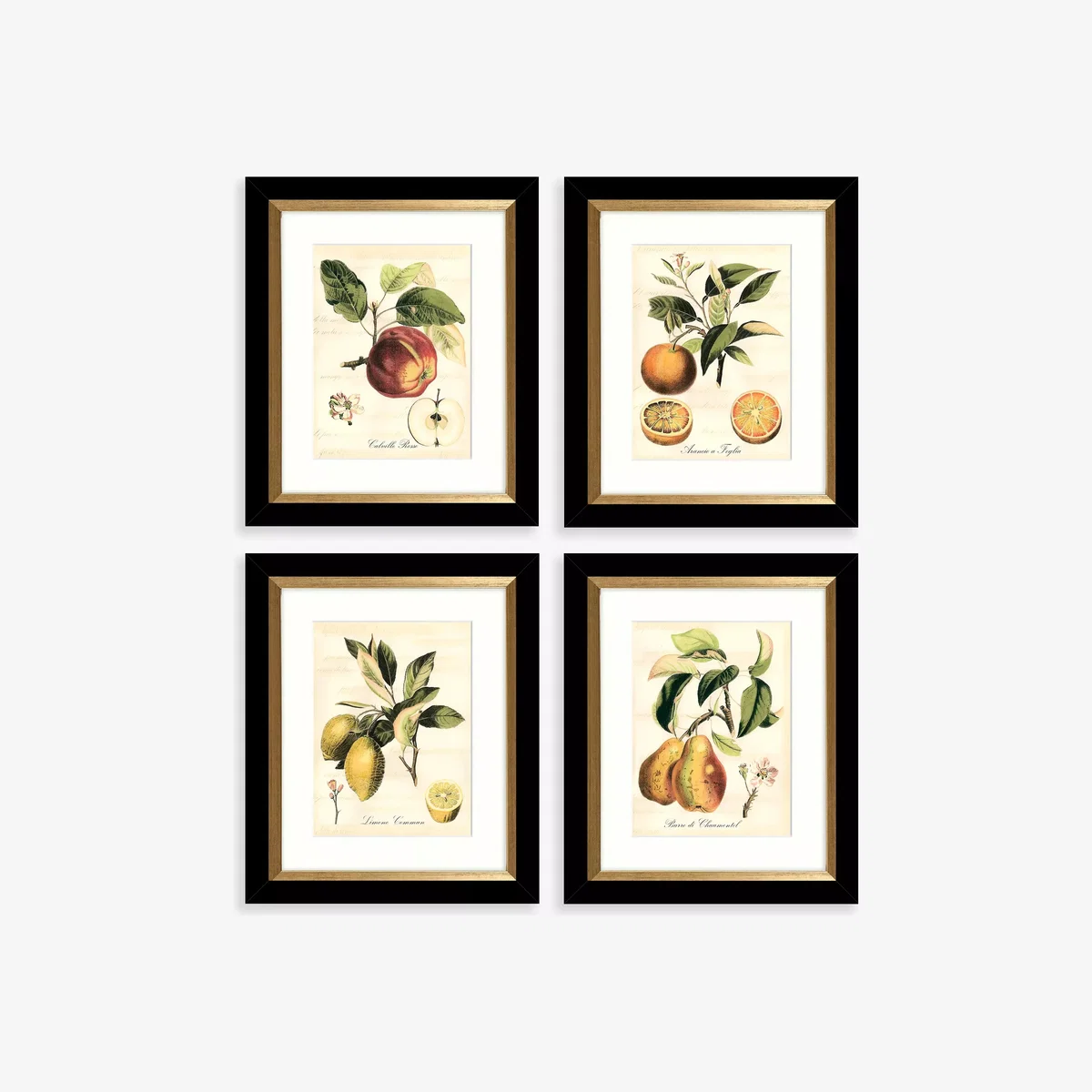 Tuscan Fruit - Framed Prints & Mounts, Set of 4, 36.5 x 30.5cm, Orange/Multi – image 1