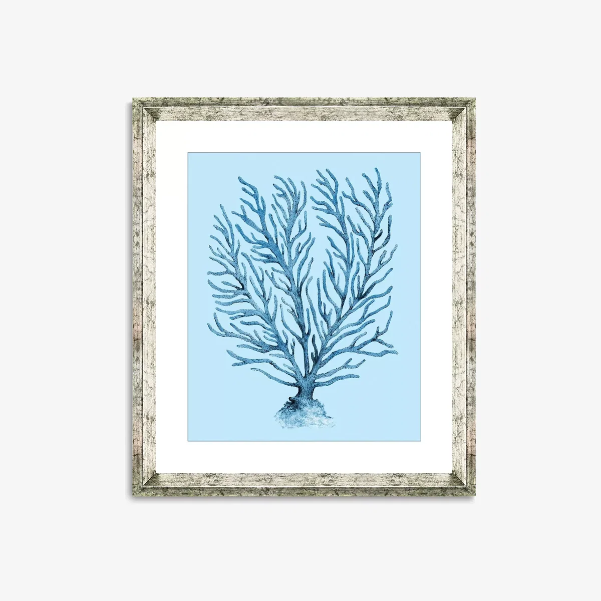 Blue Coral 9 - Framed Print & Mount, 46 x 36cm, Blue – image 1