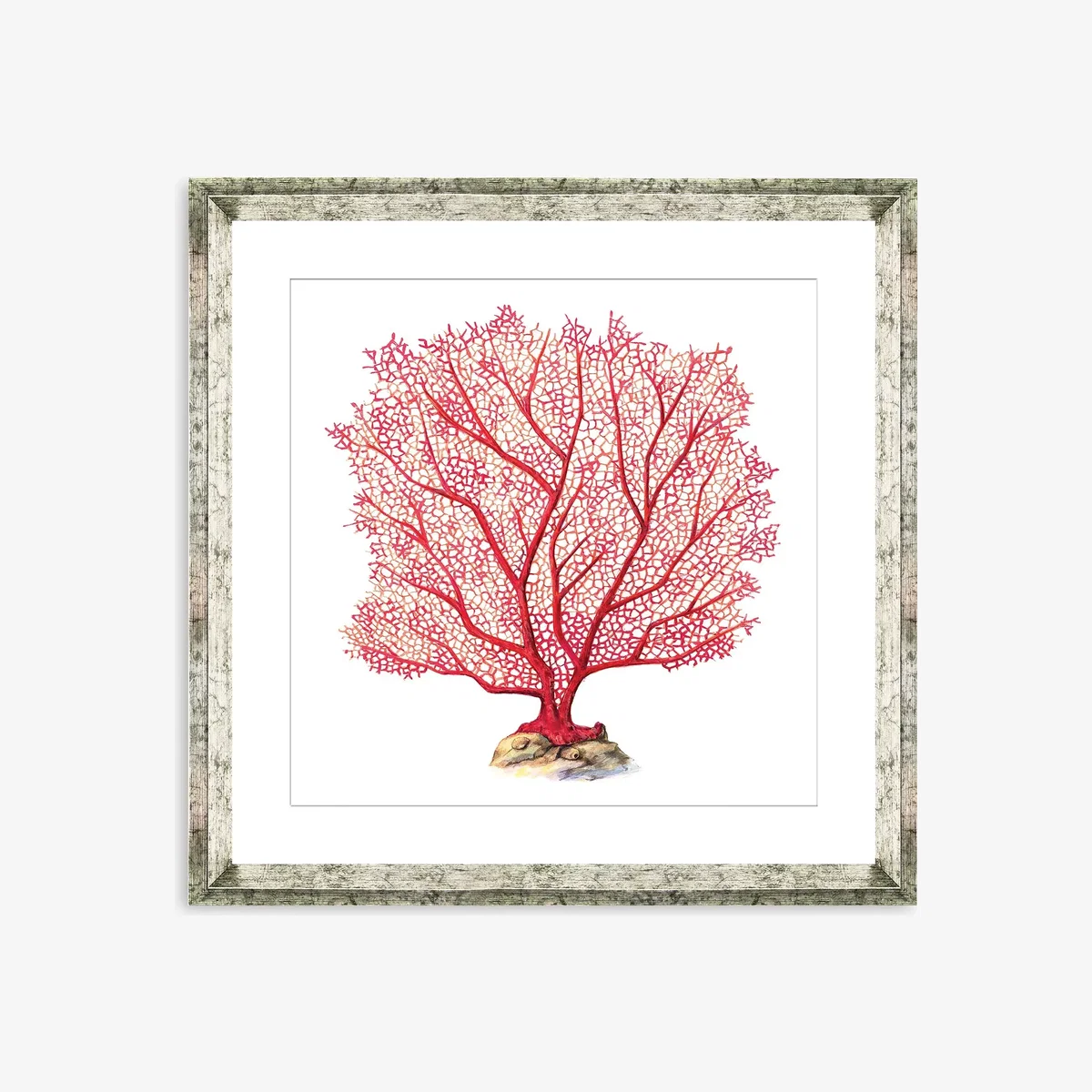 Red Coral 7 - Framed Print & Mount, 46 x 46cm, Red – image 1