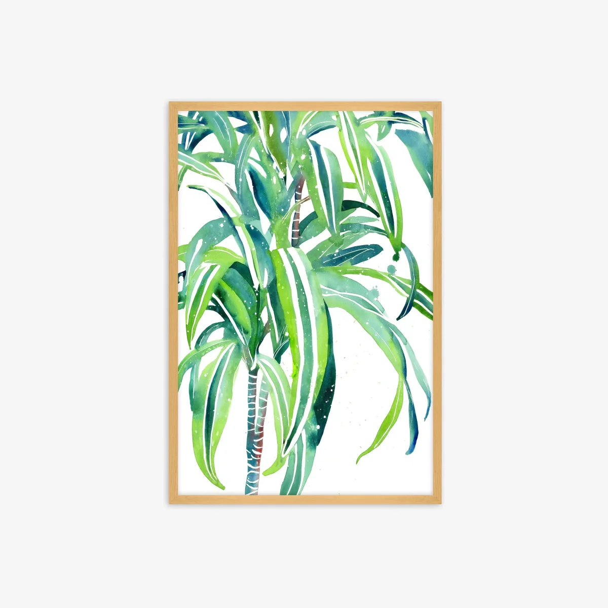 Ingrid Sanchez - 'Corn Plant' Framed Print, 62 x 42cm, Green – image 1