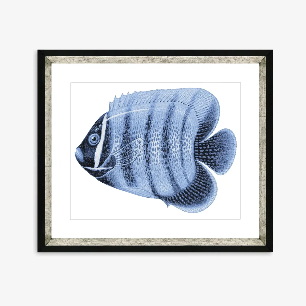 Blue Fish 3 - Framed Print & Mount, 36 x 46cm, Blue – image 1
