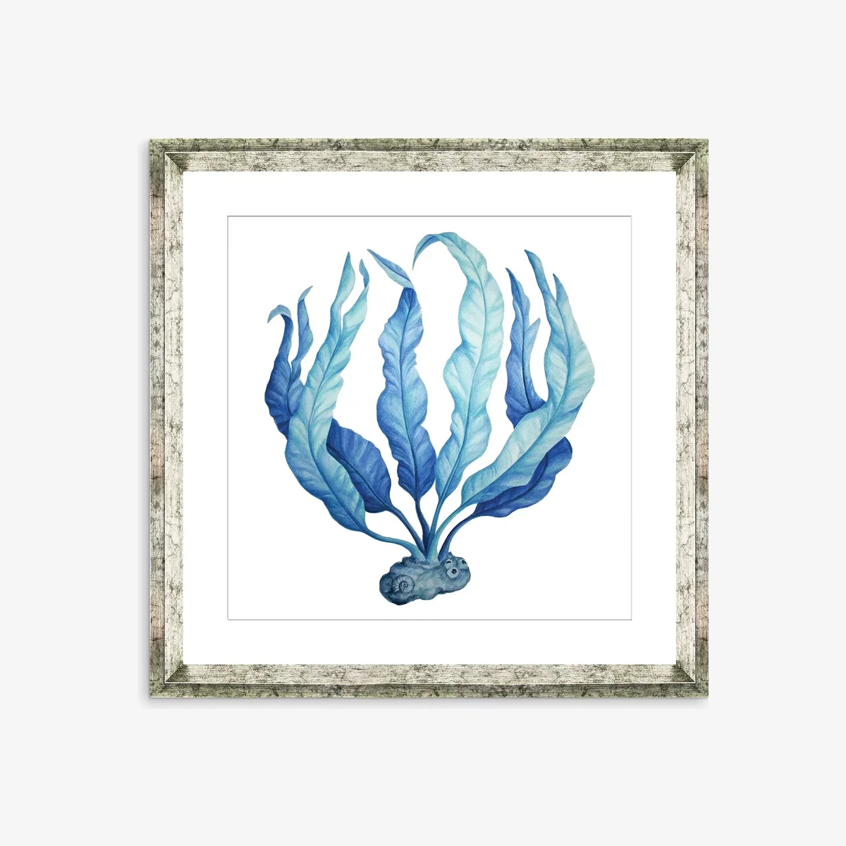Blue Seaweed 1 - Framed Print & Mount, 46 x 46cm, Blue – image 1