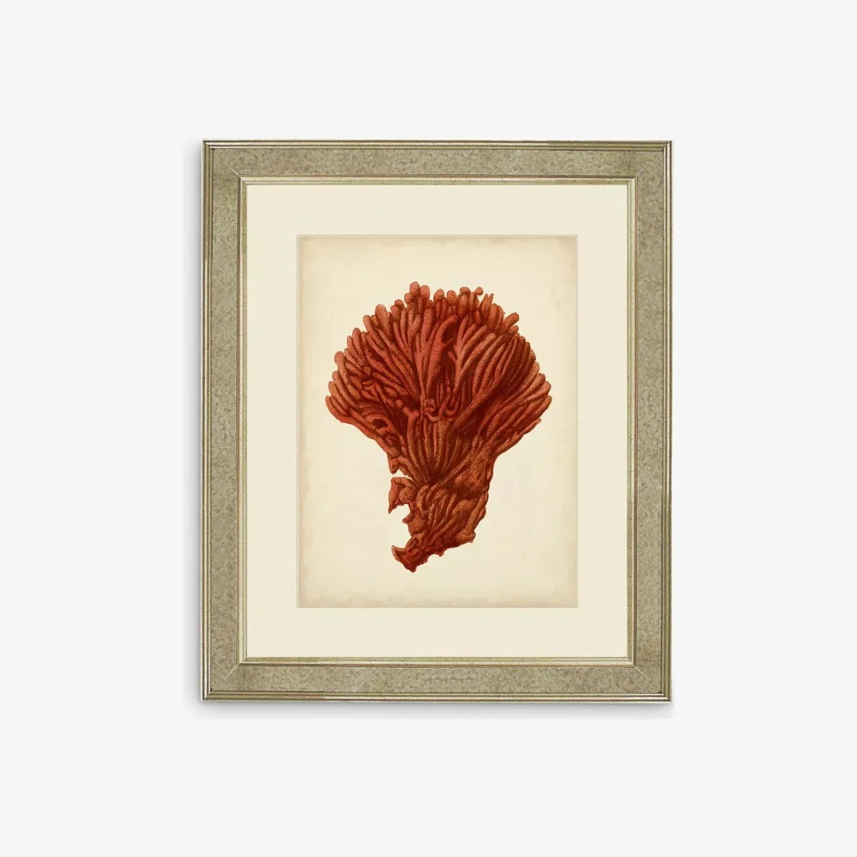 Red Coral I - Framed Print & Mount, 60 x 50cm, Red