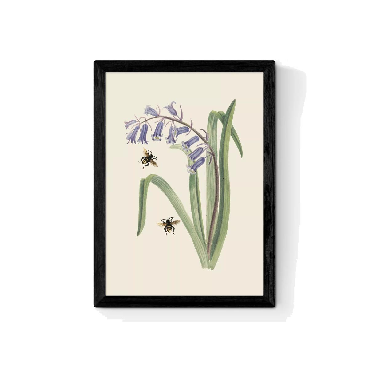 EAST END PRINTS Natural History Museum 'Bee & Hyacinth' Framed Print – image 1