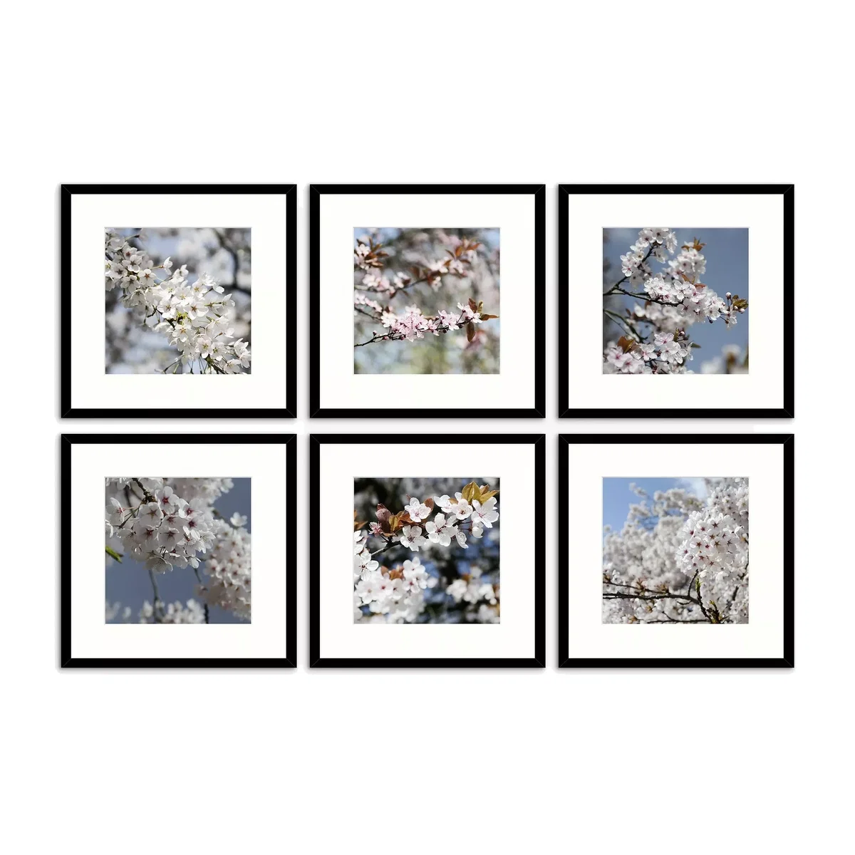 Print Punk Studio - 'Blossom Burst' Framed Print & Mount, Set of 6, 32 x 32cm, White – image 1