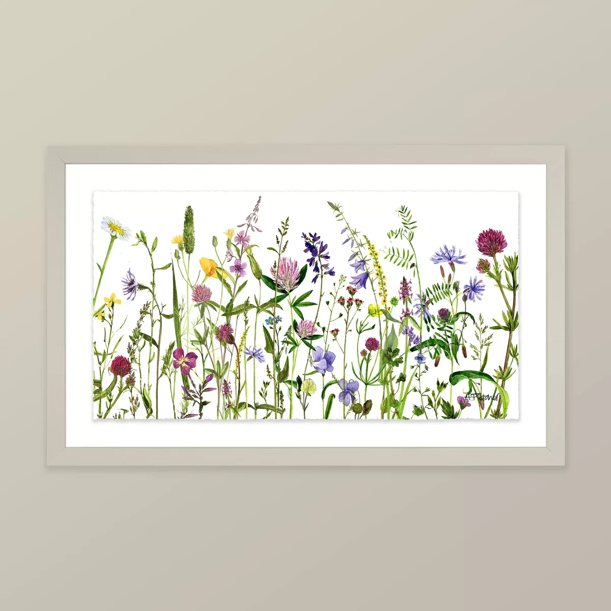 Adelene Fletcher - Botanical Floral Framed Print & Mount, 26 x 42cm – image 2