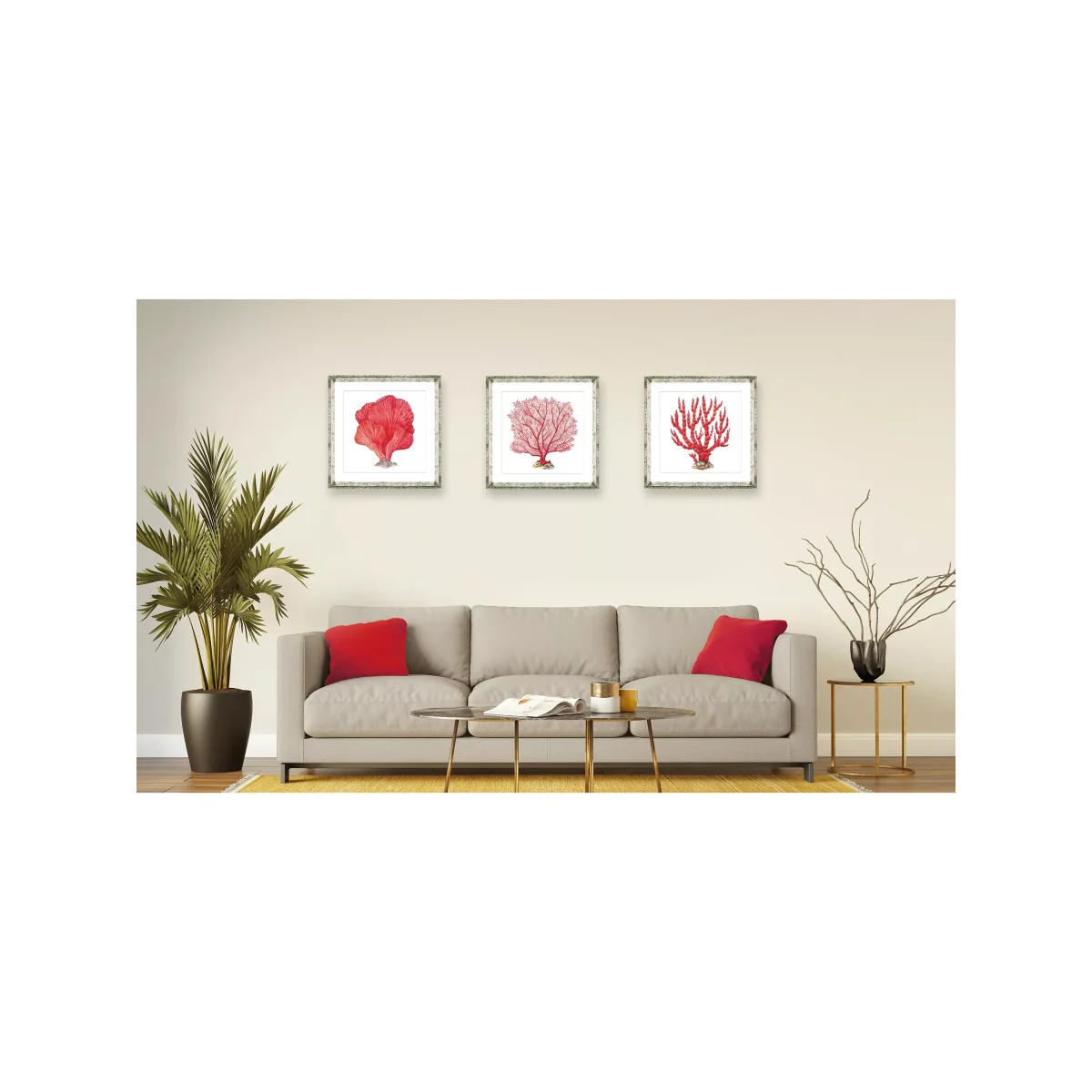 Red Coral 8 - Framed Print & Mount, 46 x 46cm, Red – image 4