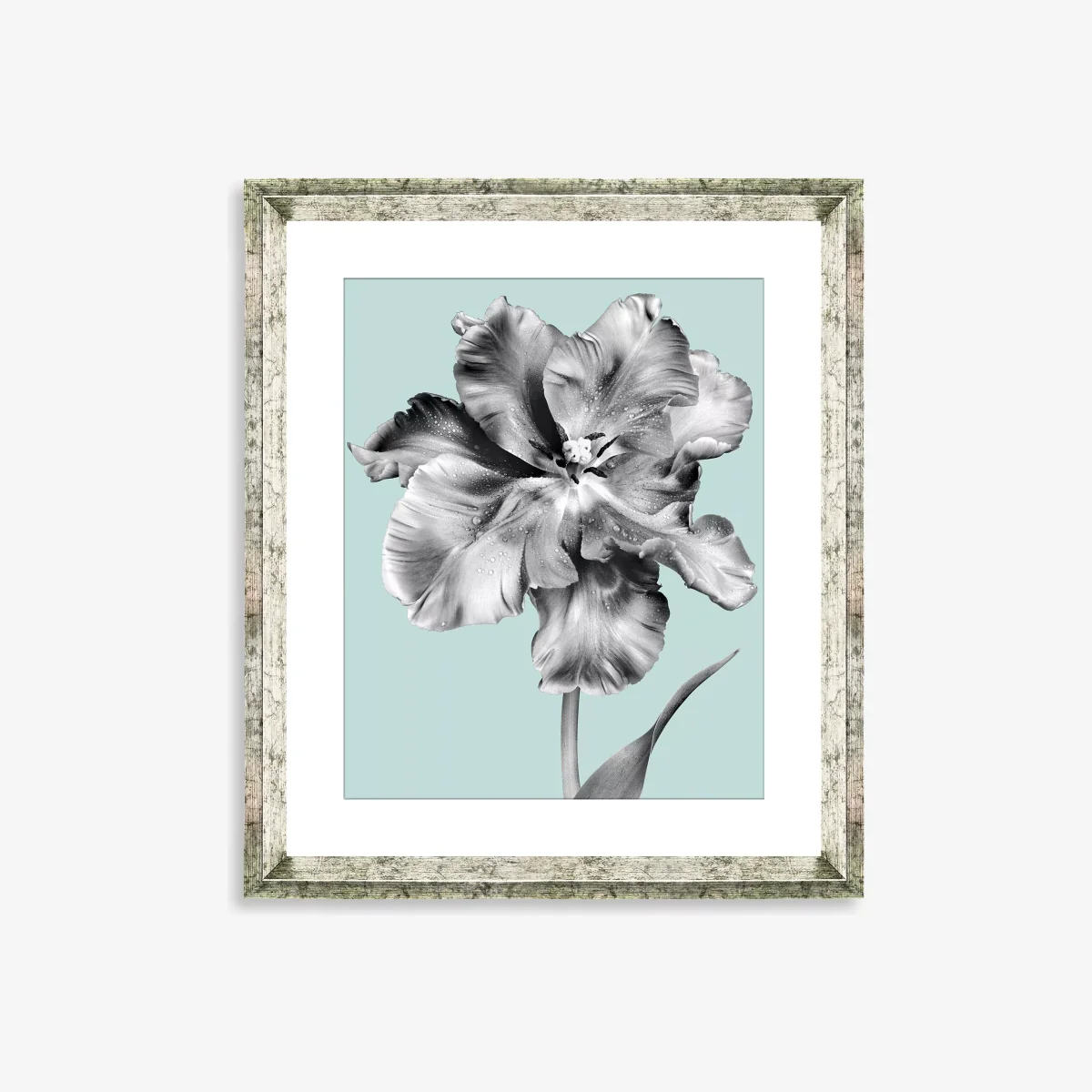Tulip on Blue 2 - Framed Print & Mount, 46 x 36cm, Blue – image 1