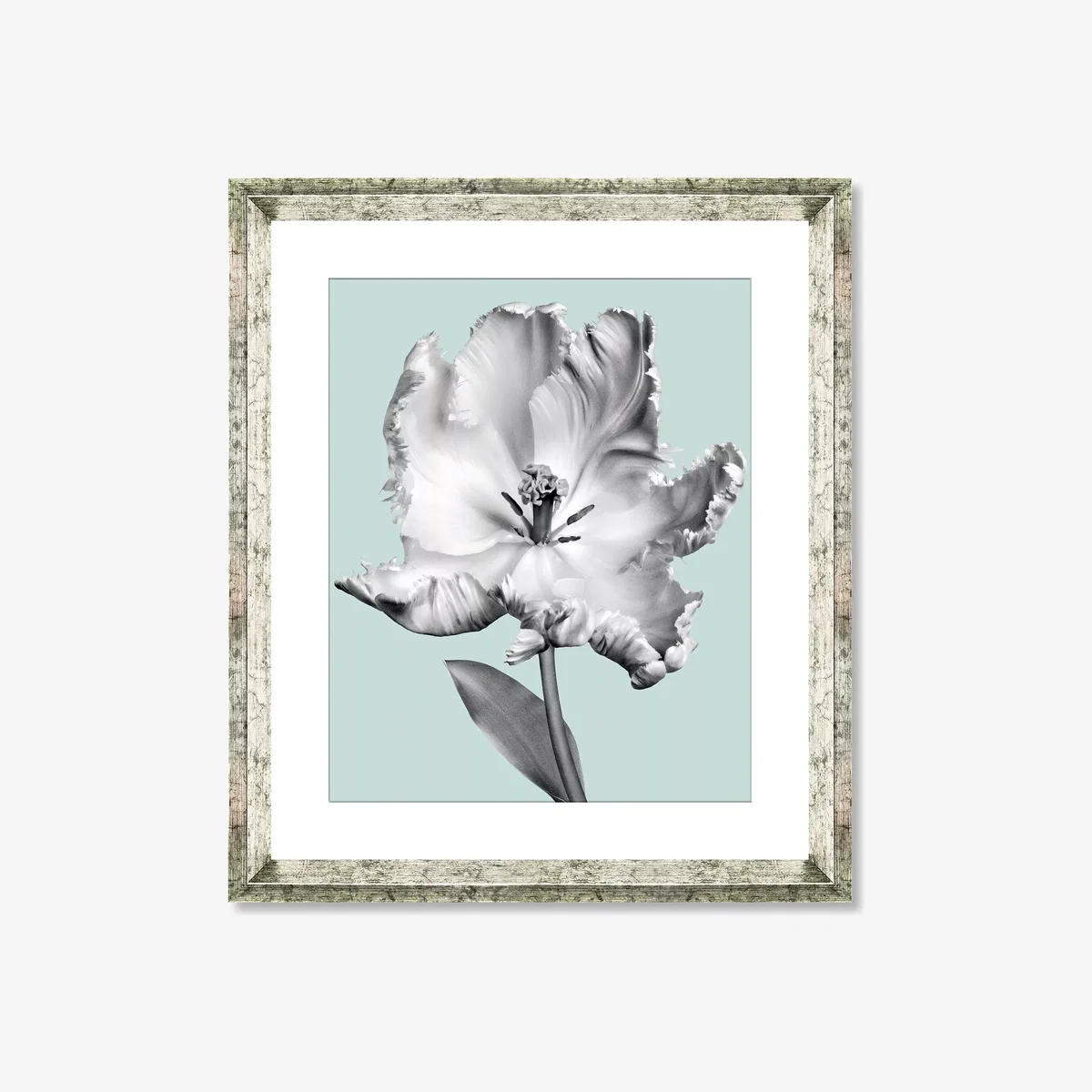 Tulip on Blue 4 - Framed Print & Mount, 46 x 36cm, Blue – image 1
