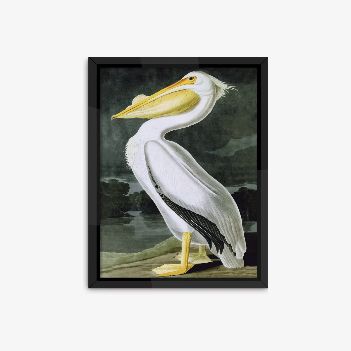 John James Audubon - Pelican Framed Print, 86 x 66cm, White – image 1