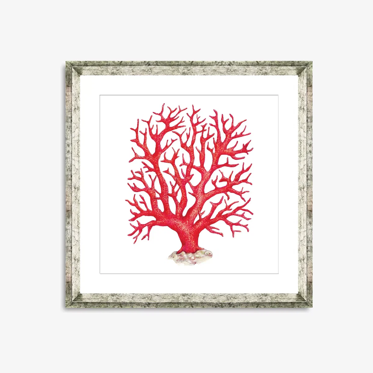 Red Coral 2 - Framed Print & Mount, 46 x 46cm, Red – image 1