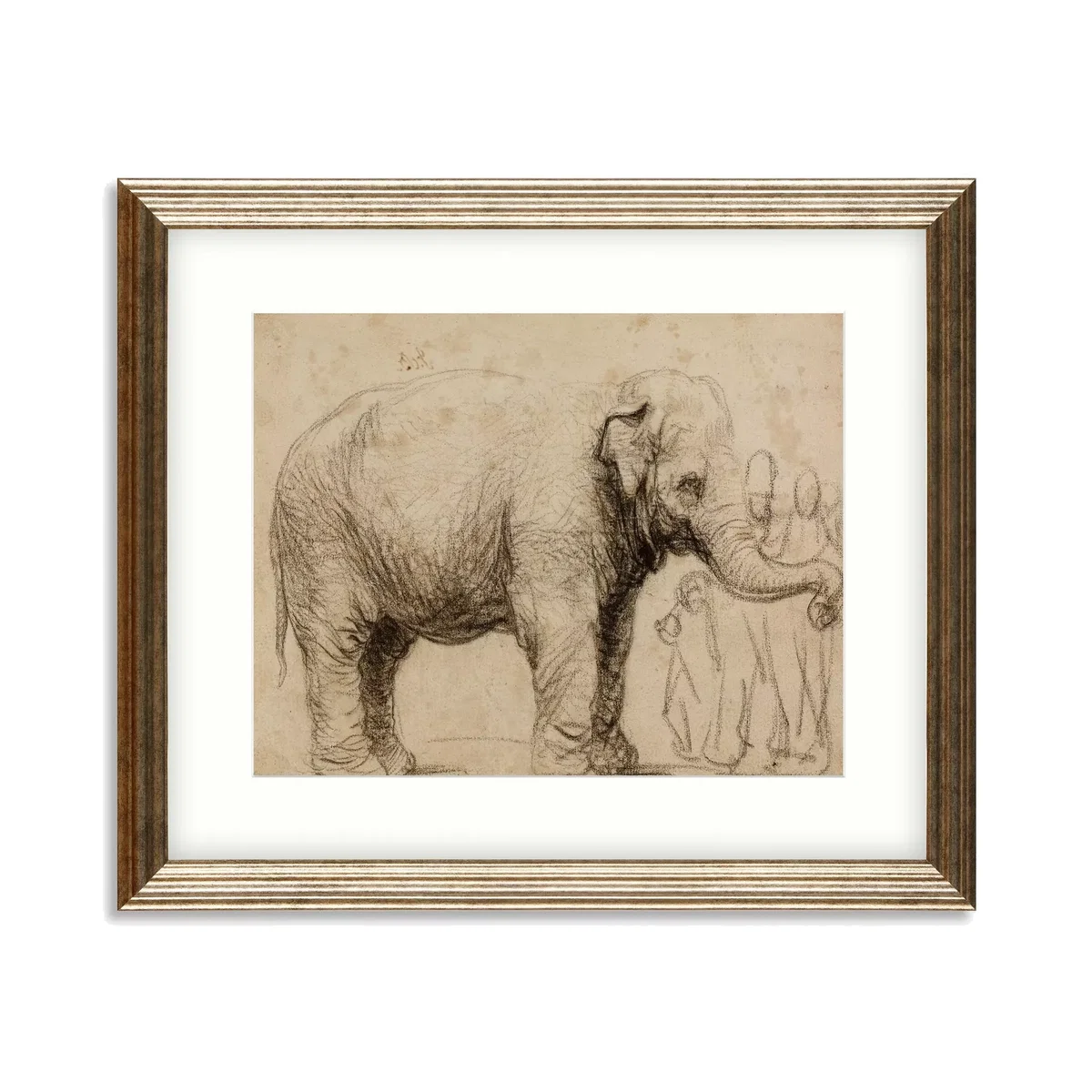British Museum - Rembrandt 'Asian Elephant Drawing' Framed Print & Mount, 56 x 66cm, Natural