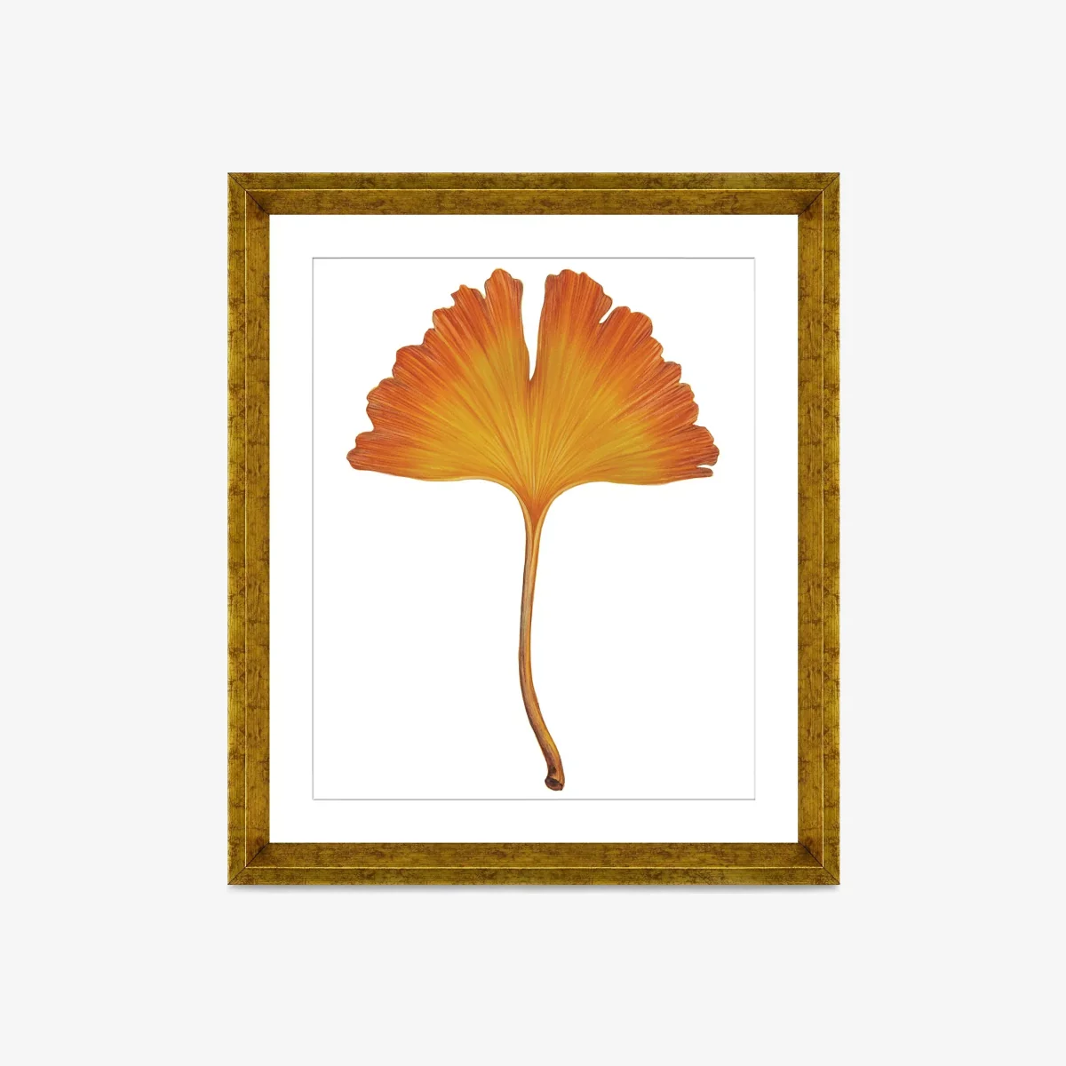 Ginkgo Leaf 1 - Framed Print & Mount, 56 x 46cm, Orange – image 1