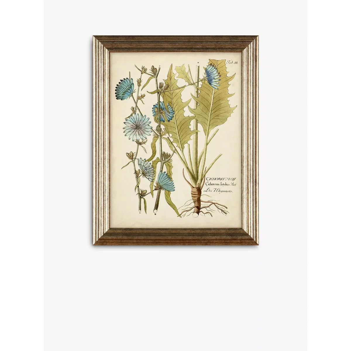 Botanical Florals Framed Prints, Set of 3, 47 x 37cm, Green/Multi – image 2
