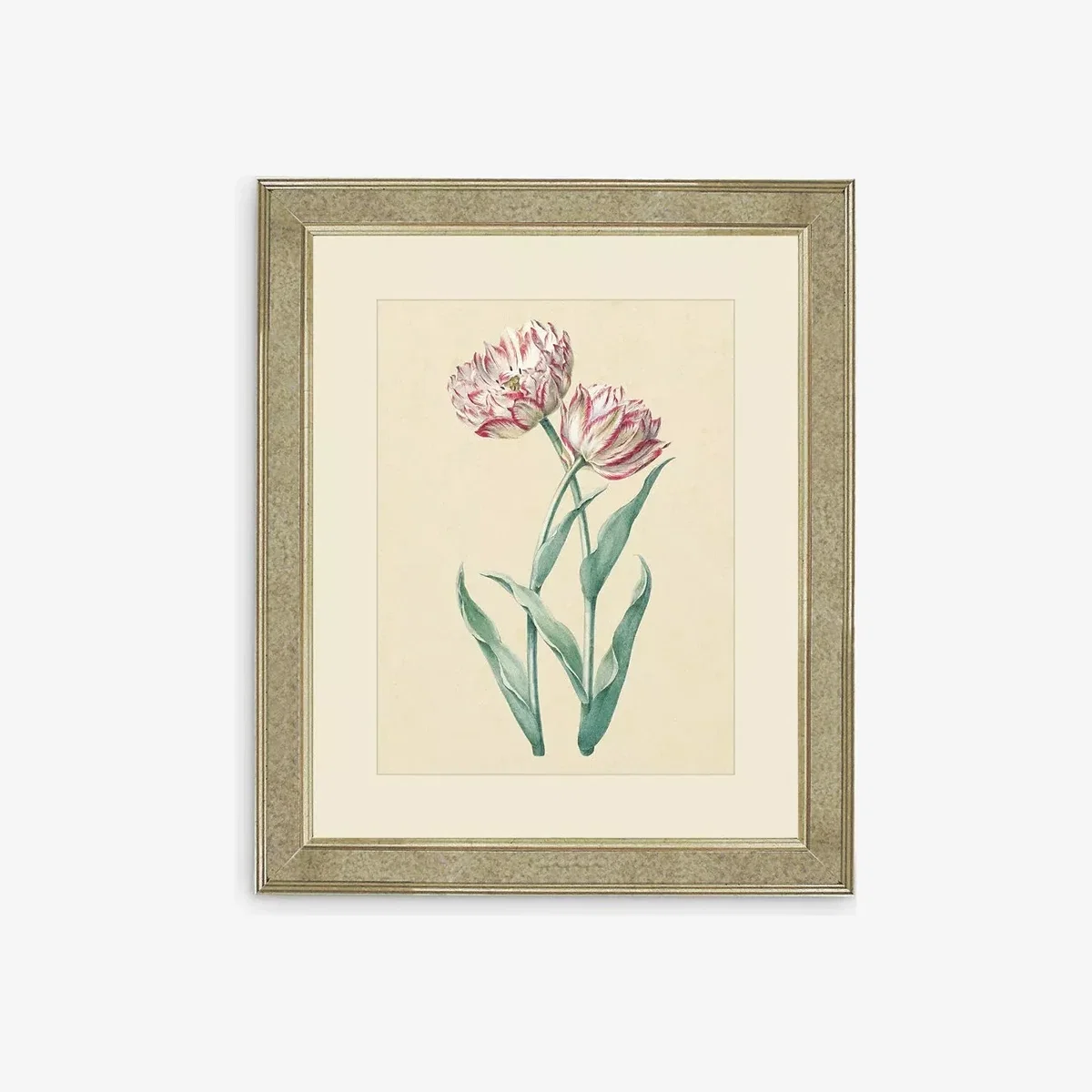 Tulips I - Framed Print & Mount, 60 x 50cm, Pink/Multi