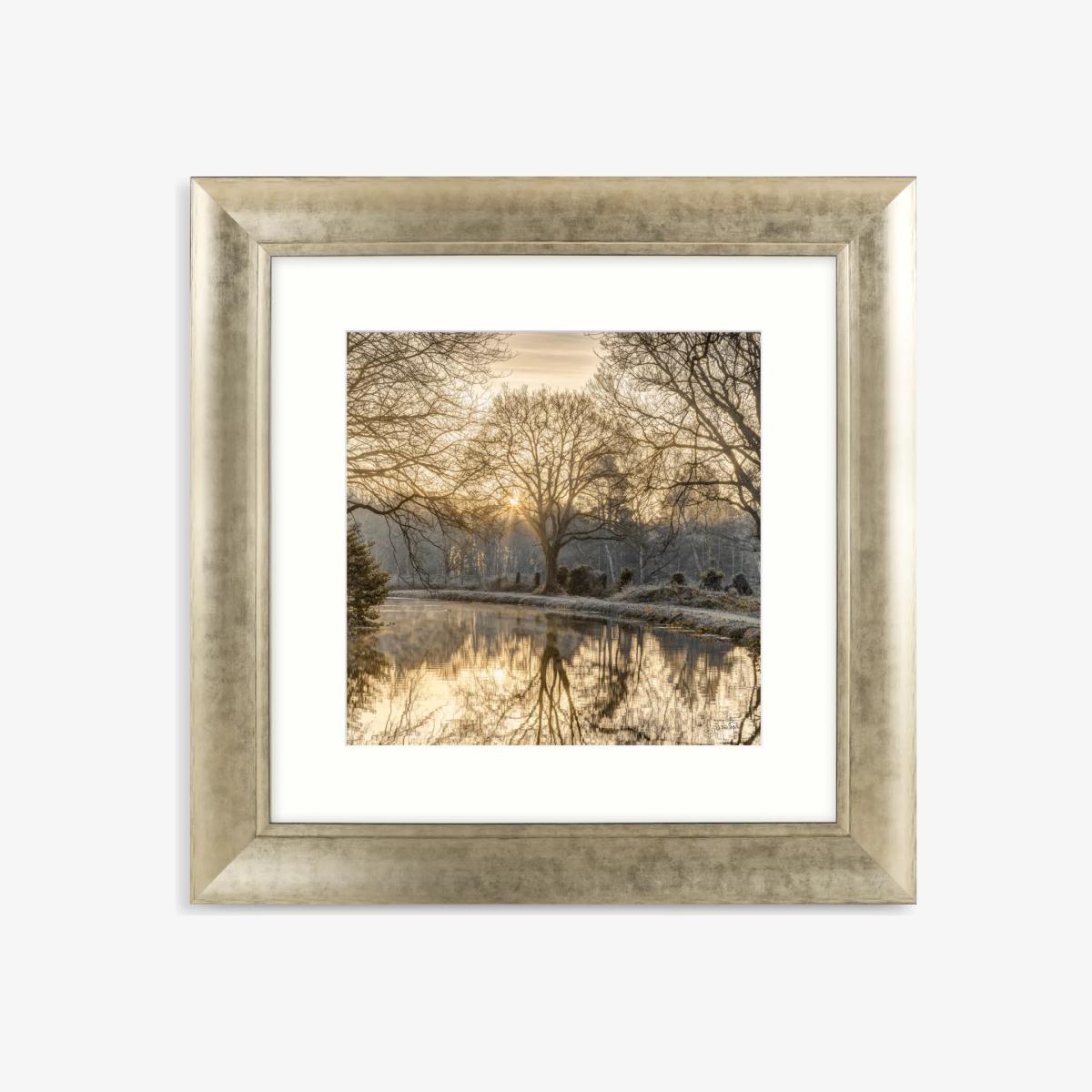 Assaf Frank - 'Autumn Walk' Framed Print & Mount, 62 x 62cm, Yellow/Multi – image 1