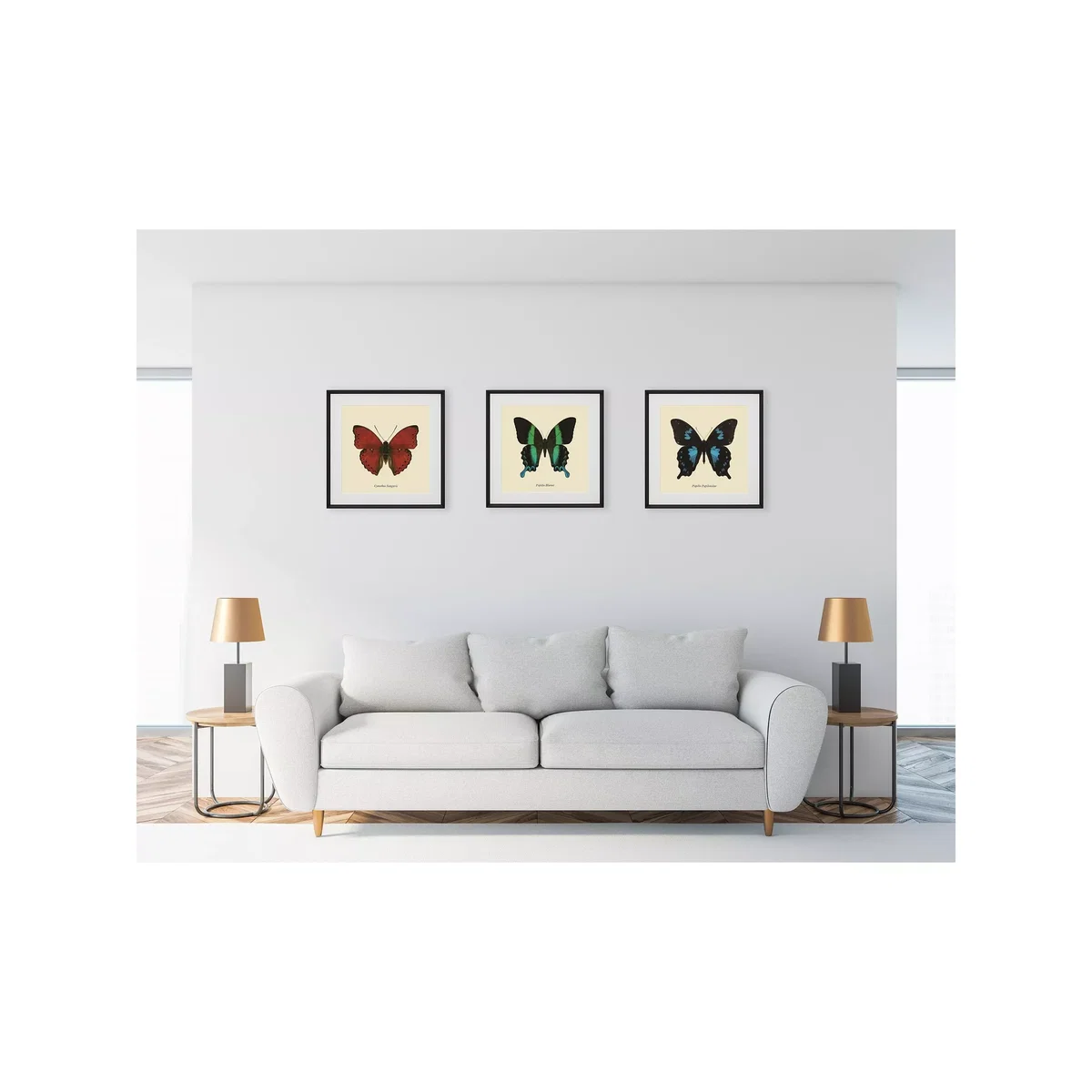 Papilio Blumei Butterfly - Framed Print & Mount, 45.5 x 45.5cm, Green/Multi – image 4