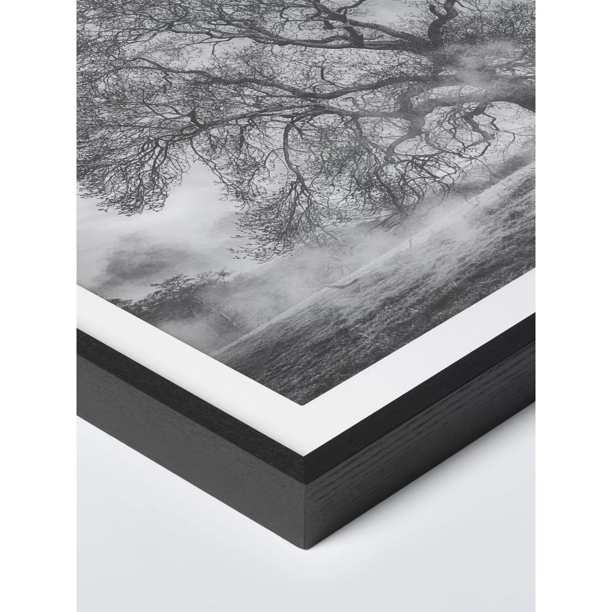 John Lewis Adrian Houston 'Haddon Ash' Framed Print, 70 x 82cm, Black/White – image 2