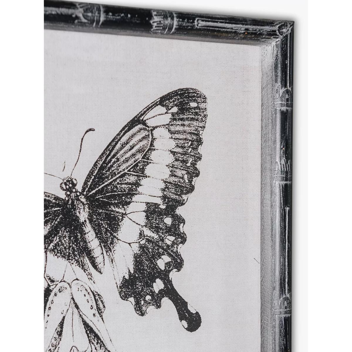 One.World Butterfly Wood Framed Print, Set of 2, 60 x 40cm, Black/White – image 2