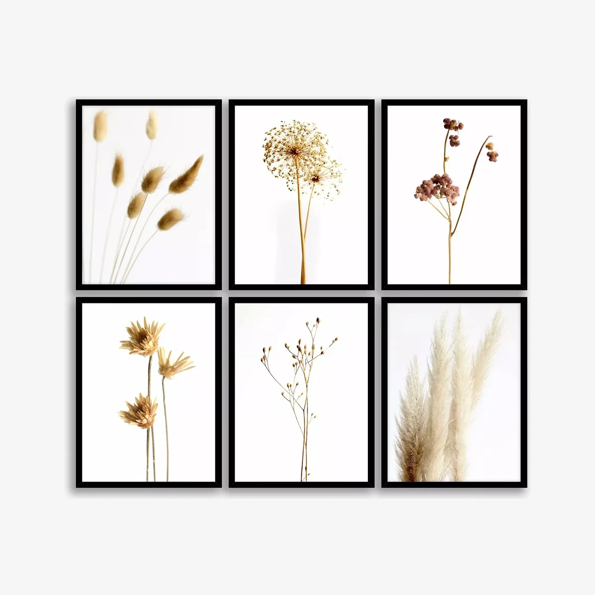 Natural Meadow - Floral Framed Prints, Set of 6, 42 x 32cm, Natural