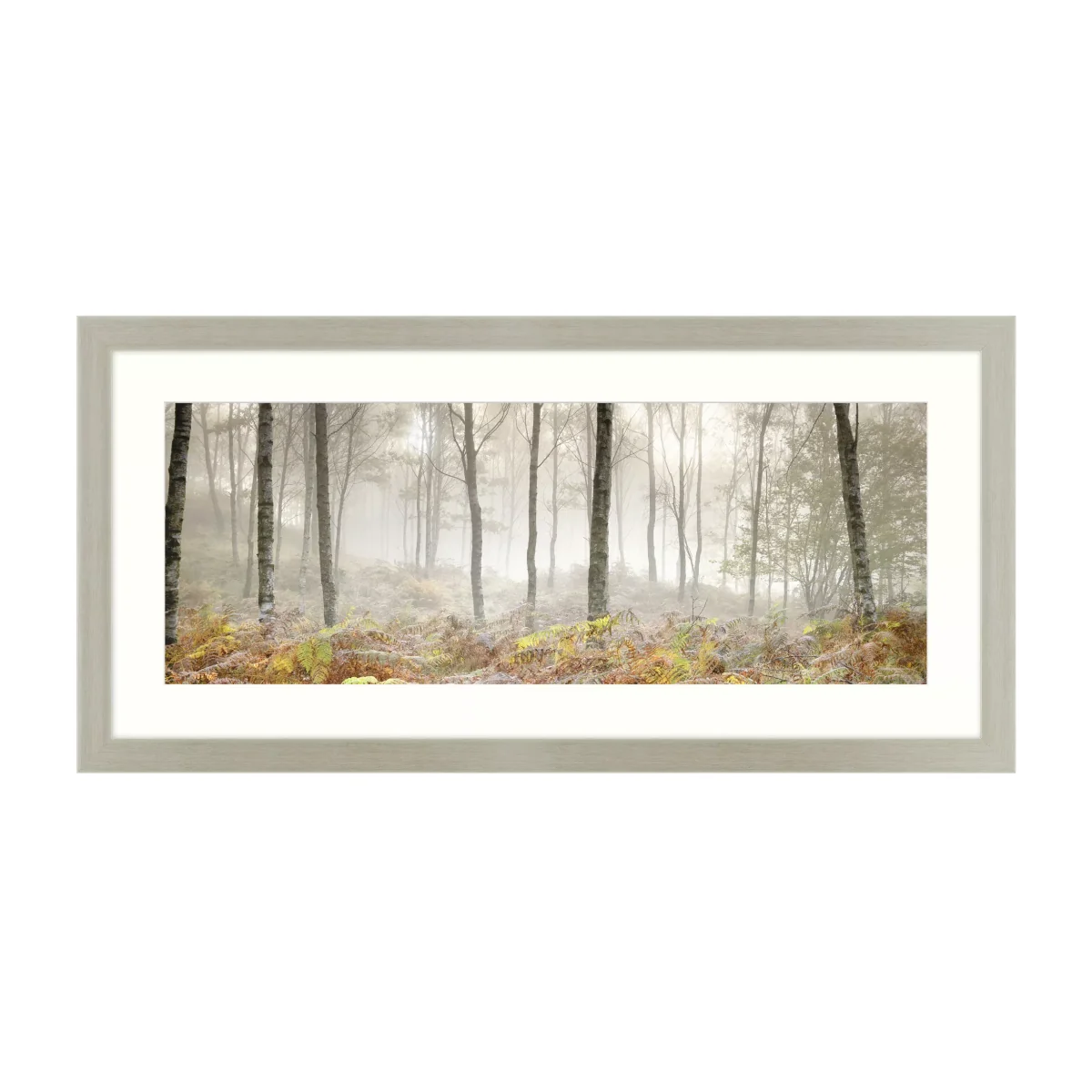 Mike Shepherd - Morning Woodland Framed Print, 52 x 107cm
