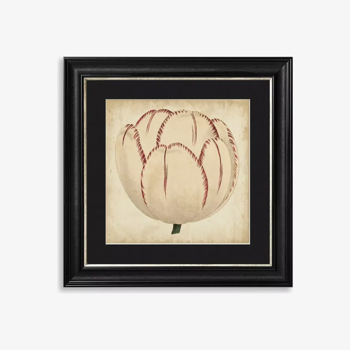 Pop Floral II Framed Print & Mount, 56 x 56cm, Black/White
