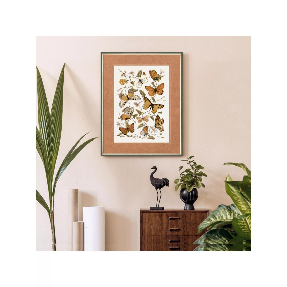 John Lewis 'Butterfly Dance' Framed Print & Mount, 93 x 73cm, Terracotta/Multi – image 3