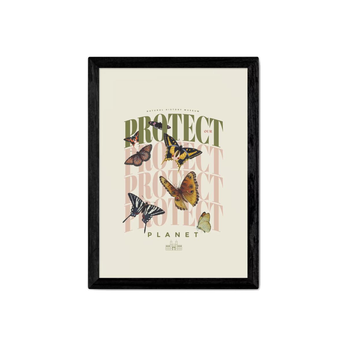 EAST END PRINTS Natural History Museum 'Butterflies' Framed Print