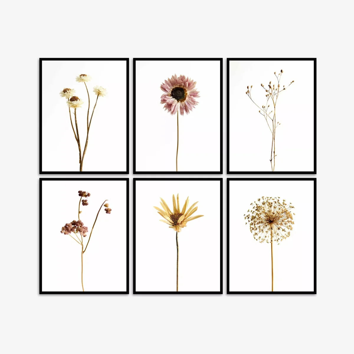 Modern Botanicals Framed Prints, Set of 6, 42 x 32cm, Multi – image 1