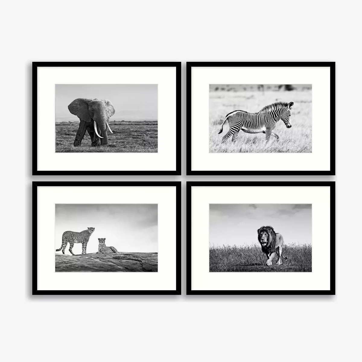 On The Plains - African Animals Framed Print & Mount, Set of 4, 32 x 42cm, Black/White