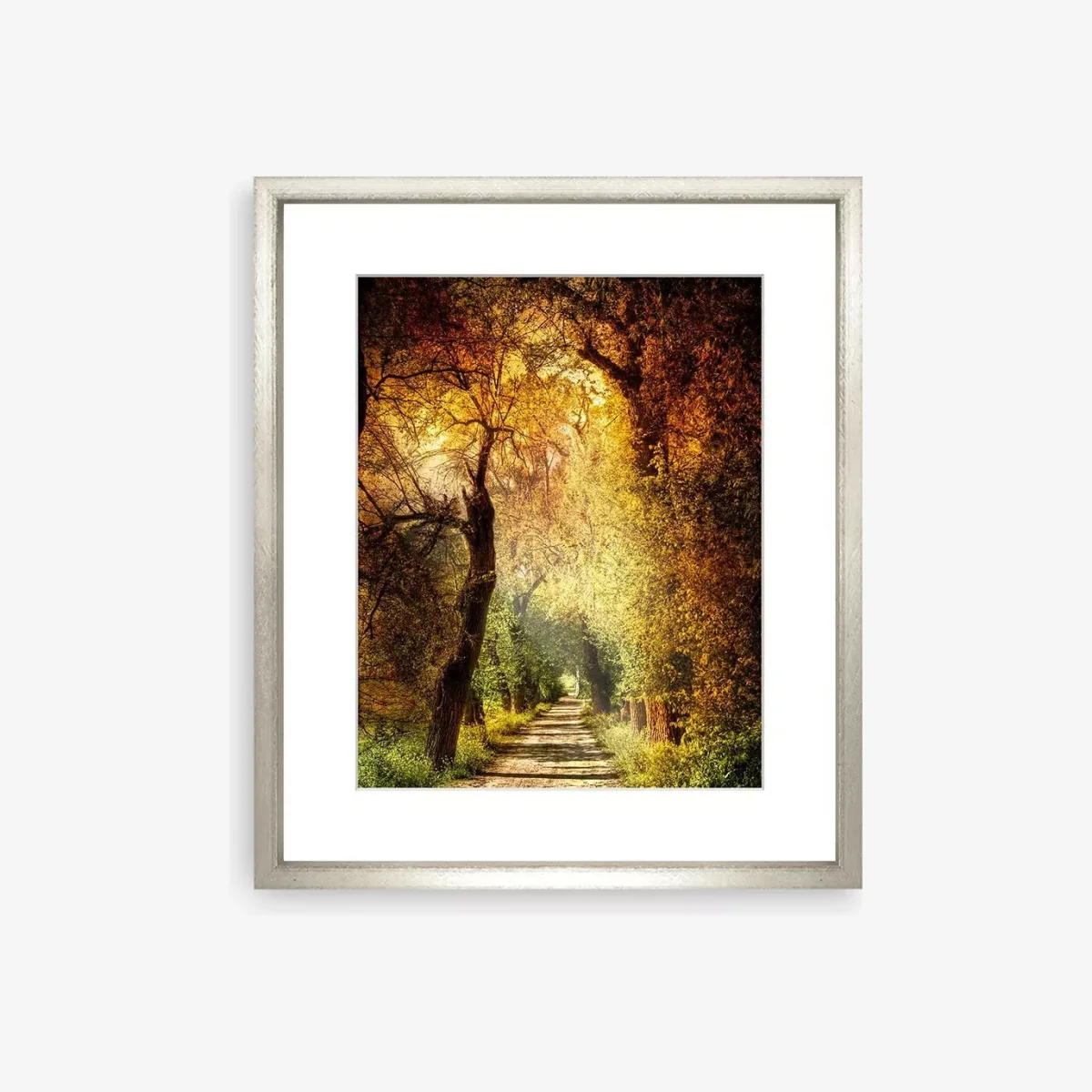 Autumnal Path Framed Print & Mount, 73 x 58cm, Brown