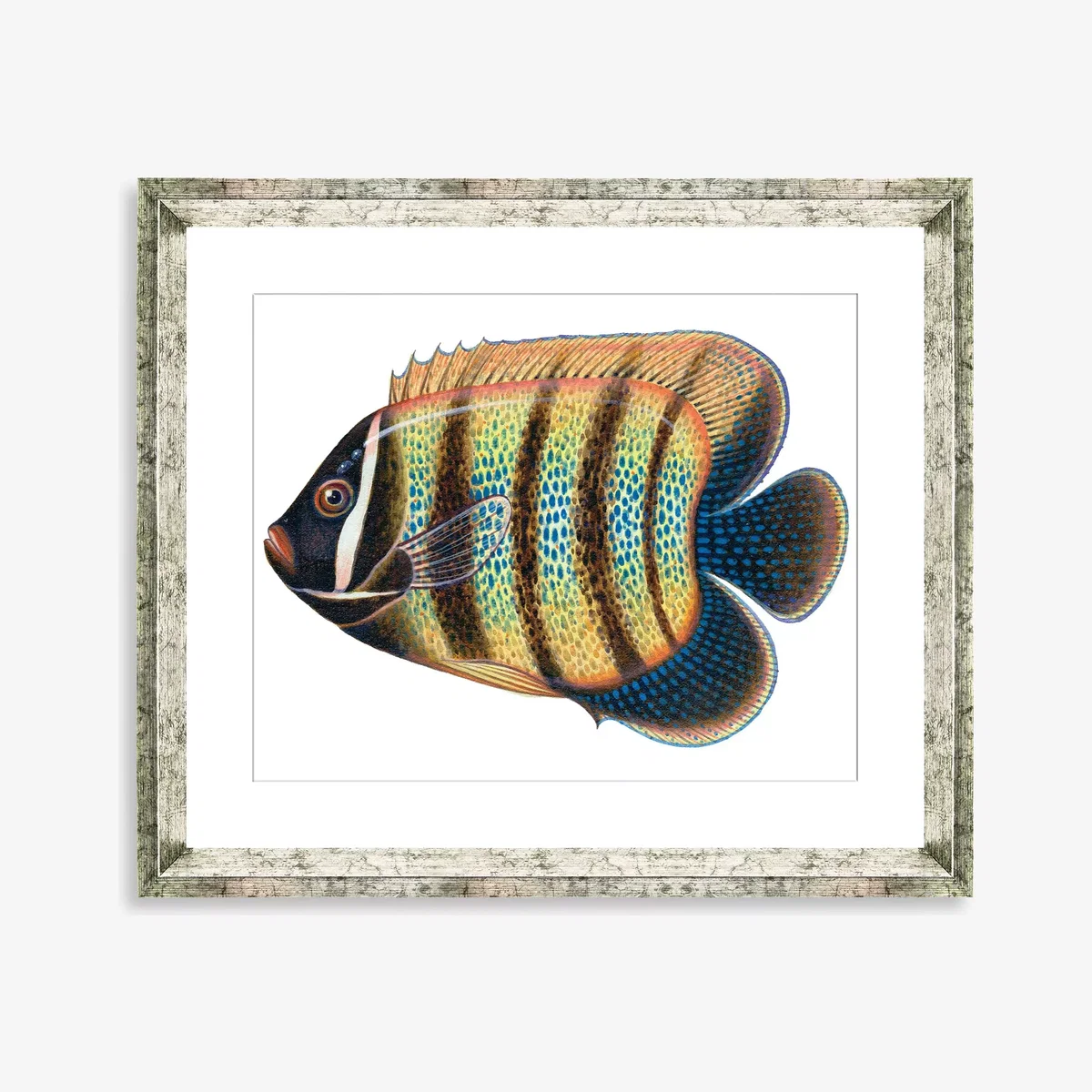 Tropical Fish 5 - Framed Print & Mount, 36 x 46cm, Yellow/Multi – image 1