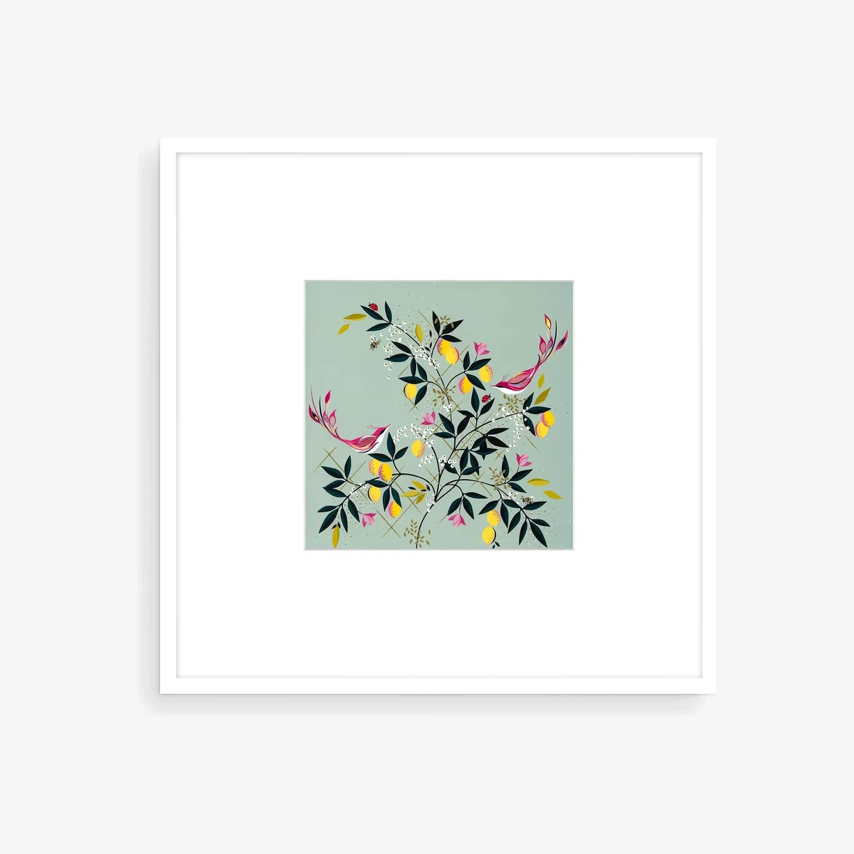 John Lewis Sara Miller 'Duck Egg Orchard' Framed Print & Mount, 50 x 50cm, Green/Multi – image 1
