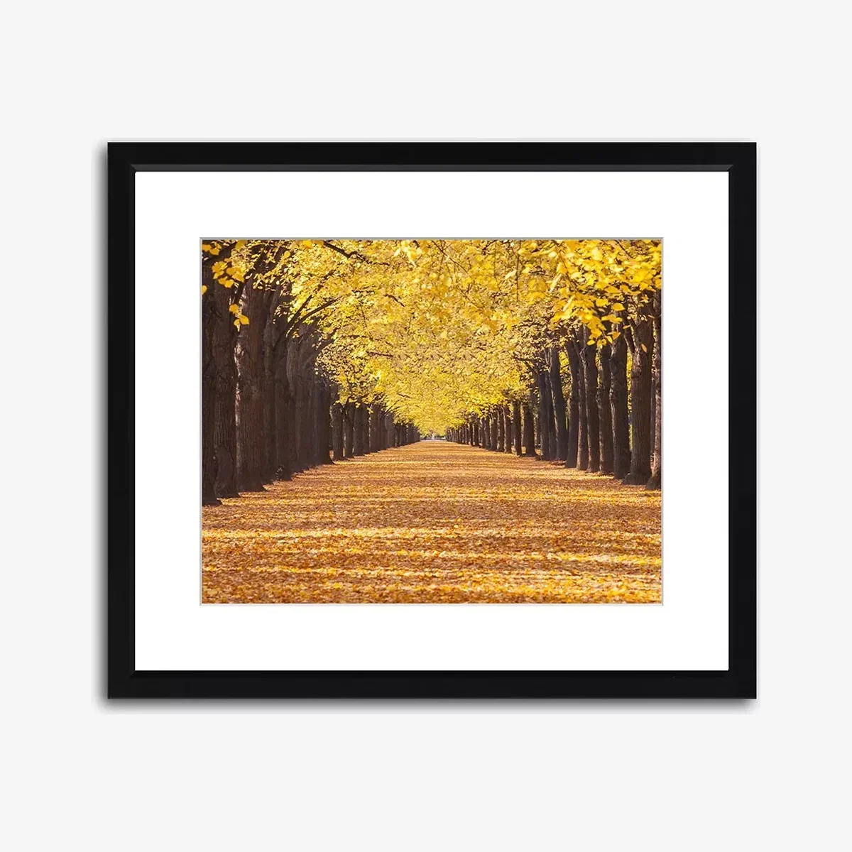 Paris Autumn Framed Print & Mount, 82 x 97cm, Yellow