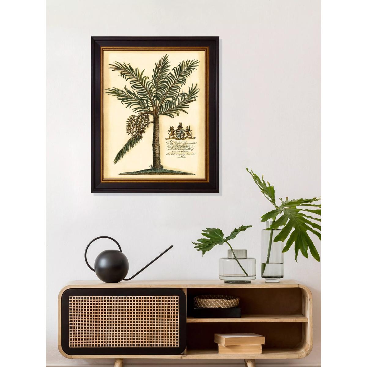 Brookpace Lascelles 'Fruitful Palm' Framed Print, 50 x 40cm, Green/Cream – image 2