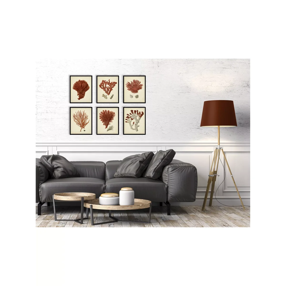 Red Coral - Framed Print & Mount, Set of 6, 32 x 26cm, Red – image 2