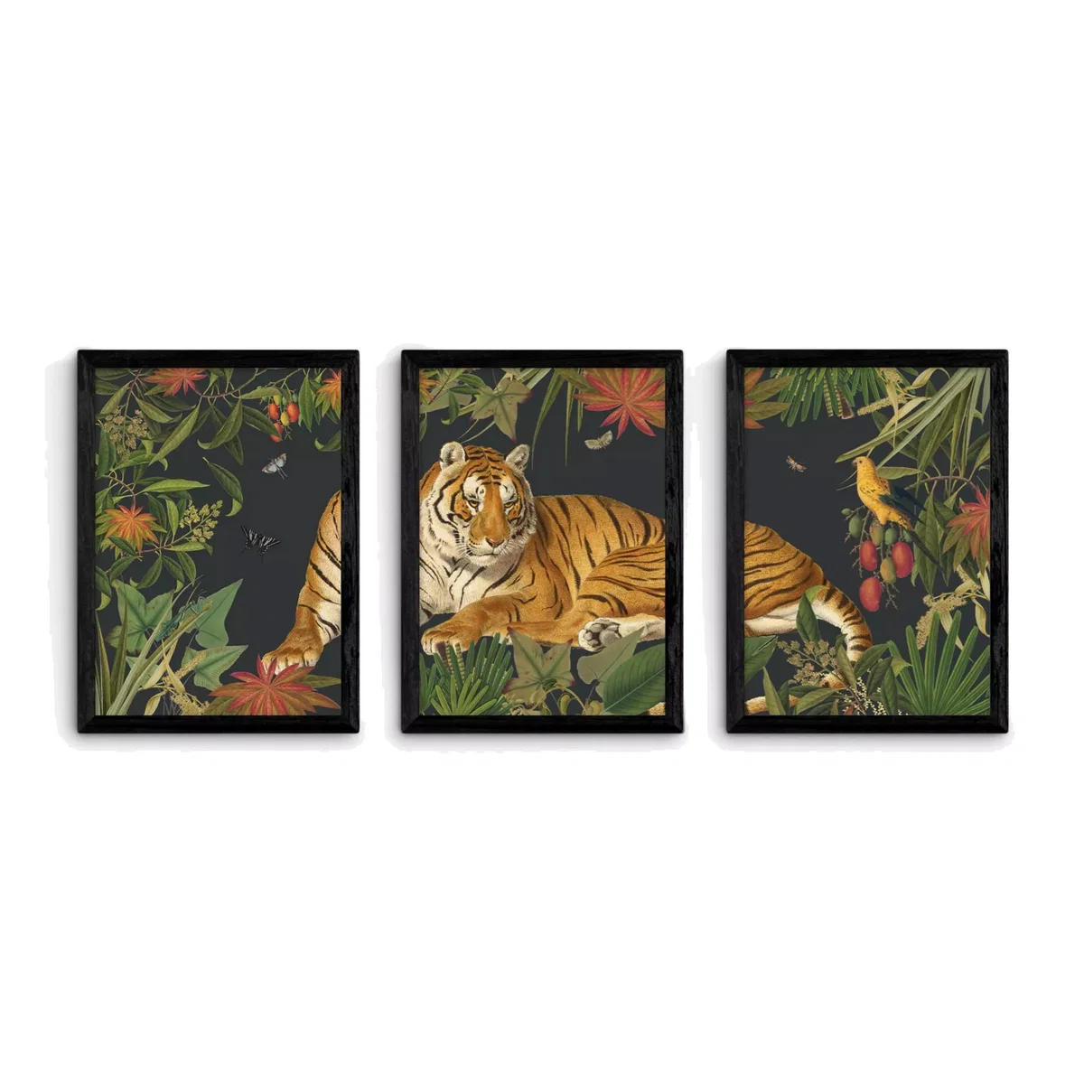 EAST END PRINTS Natural History Museum 'Tiger' Framed Print, Set of 3