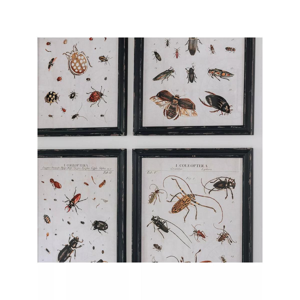 One.World Insect Wood Framed Print, Set of 4, 50 x 40cm, Black – image 2