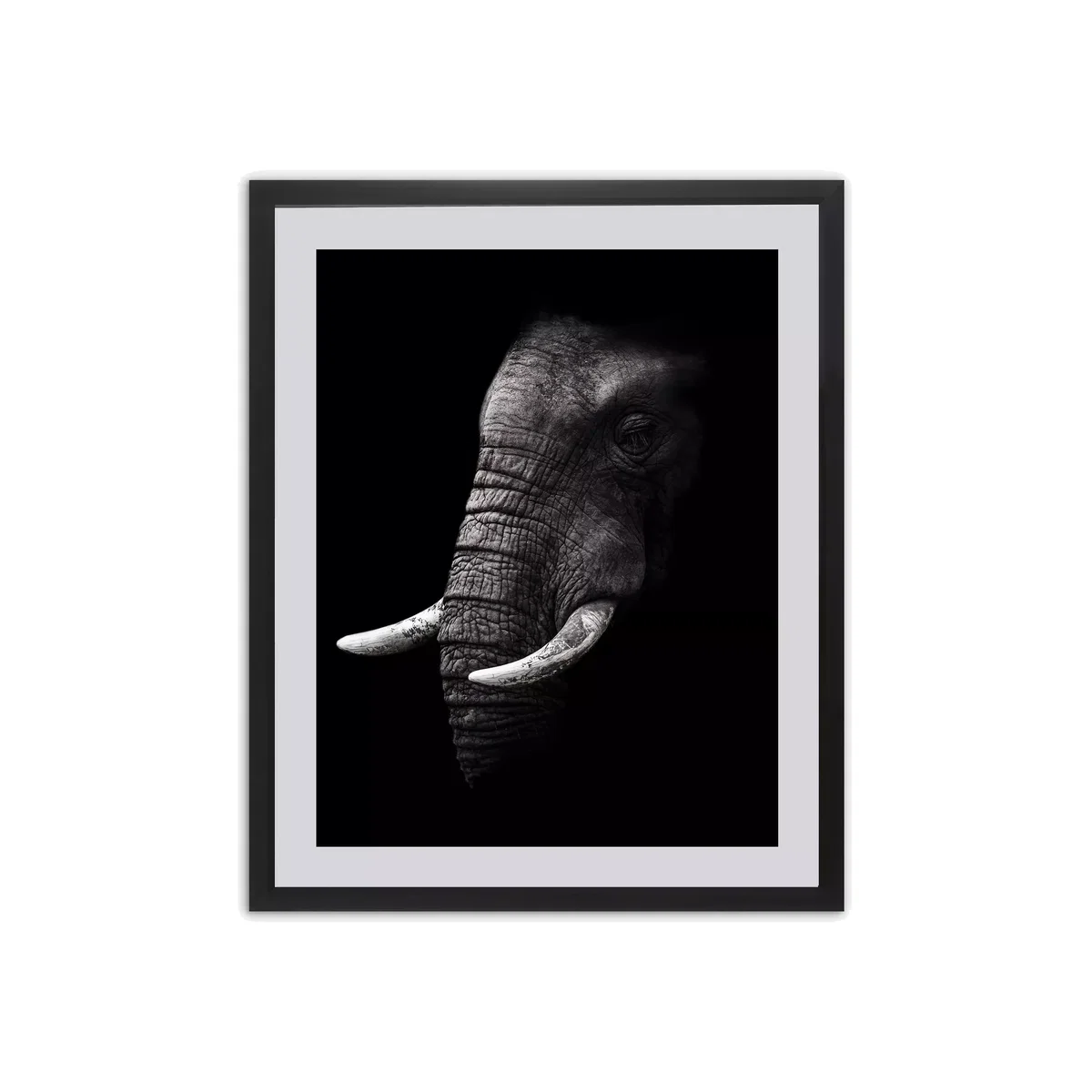 Elephant Framed Print & Mount, 81 x 65.5cm, Black/White – image 1