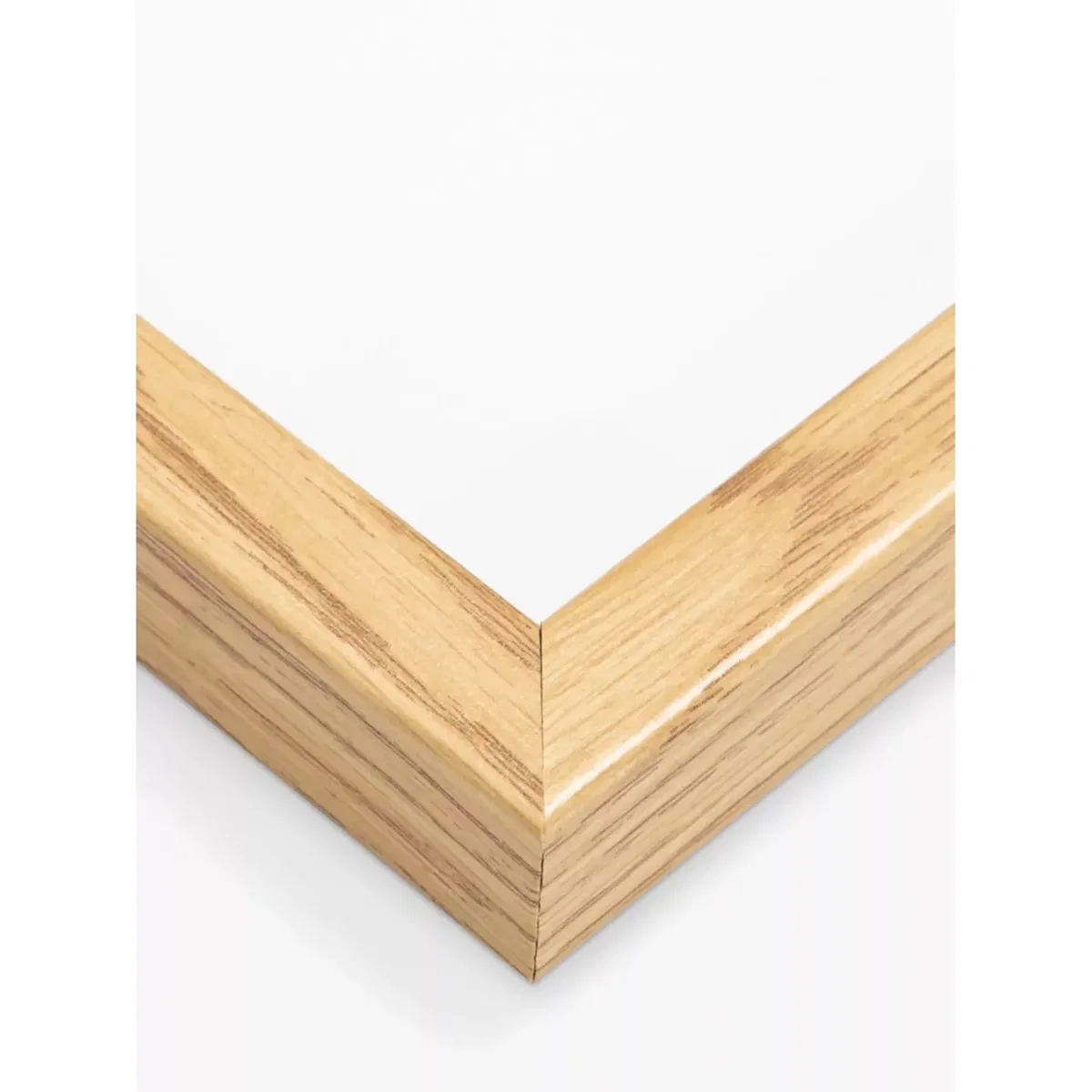 John Lewis Jungle Boogie Wall Art, Set of 3, 40 x 20cm – image 3