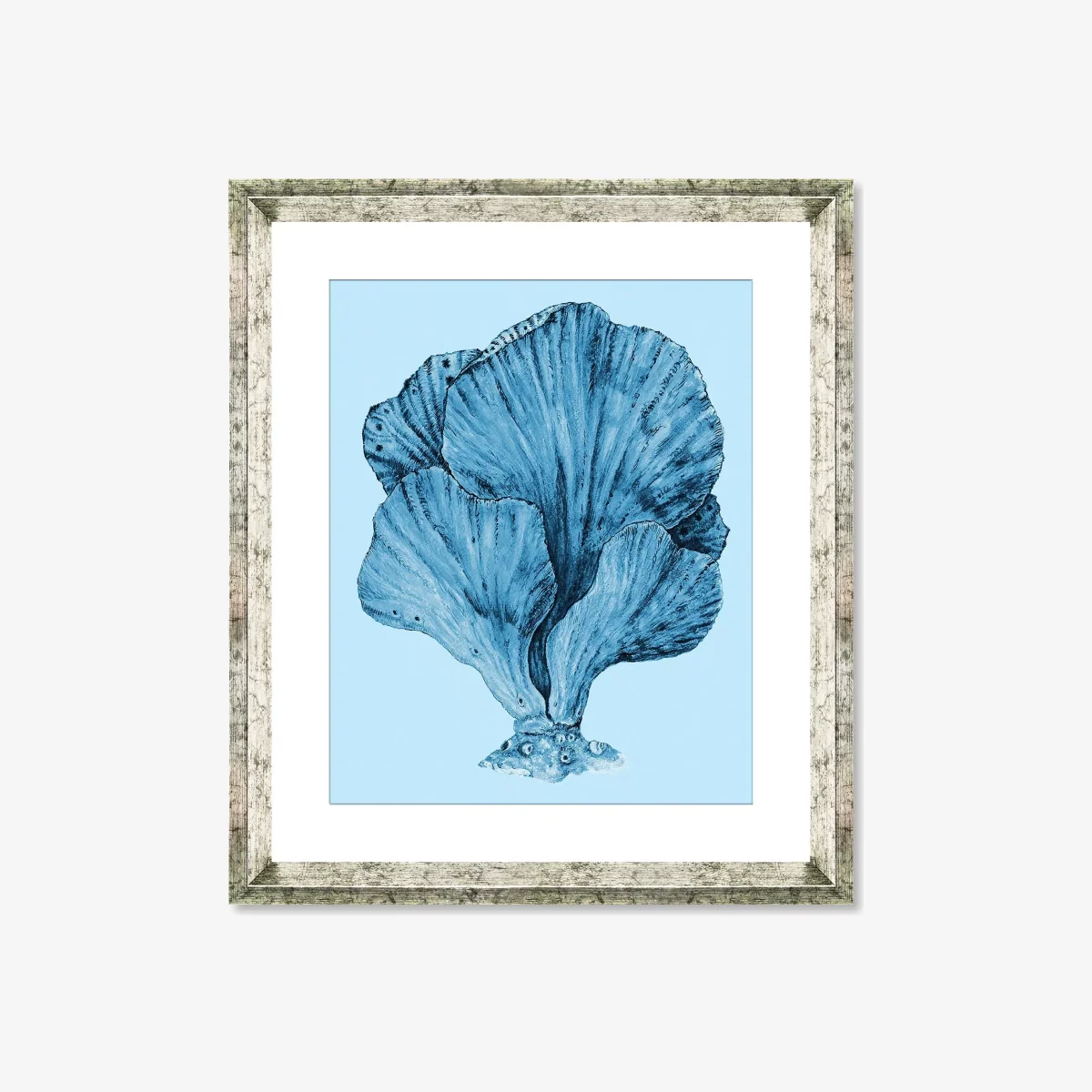 Blue Coral 3 - Framed Print & Mount, 46 x 36cm, Blue – image 1
