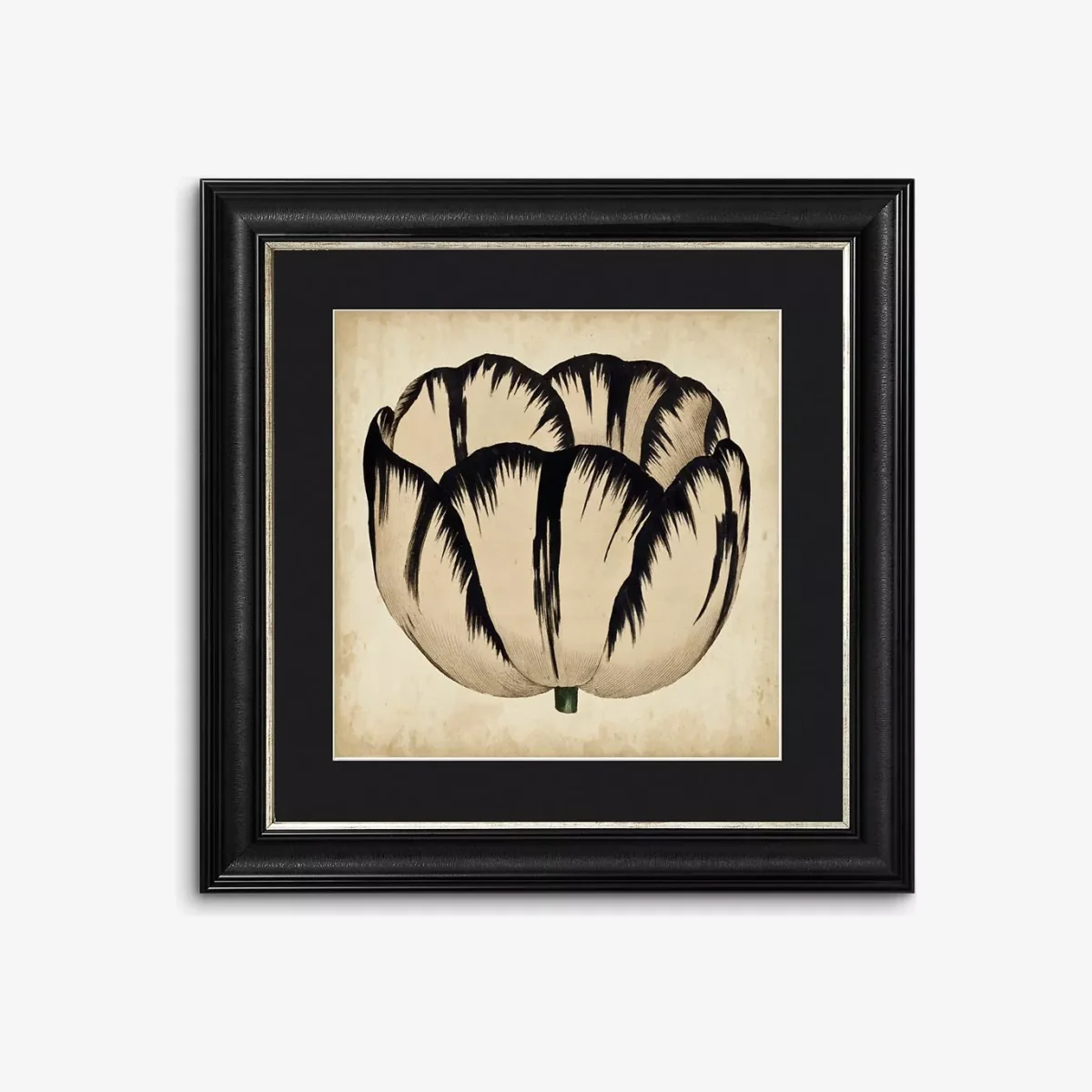 Pop Floral III Framed Print & Mount, 56 x 56cm, Black/White