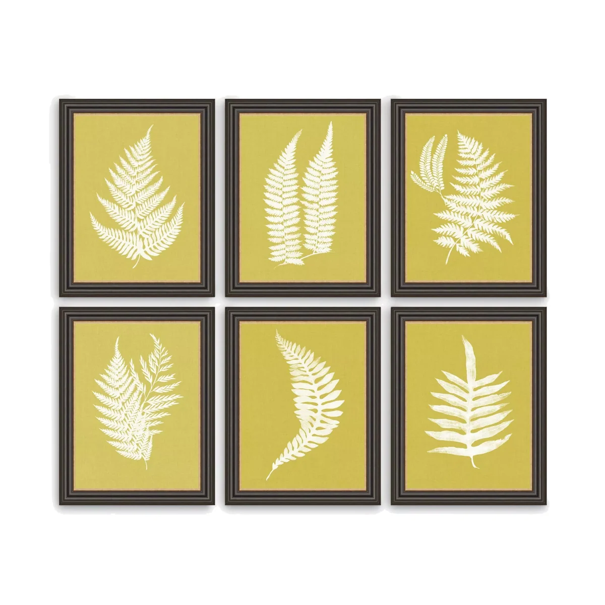'Ochre Ferns' Framed Prints, Set of 6, 37 x 31cm, Ochre – image 1