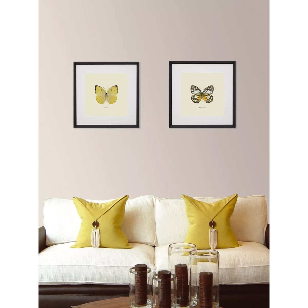 Appias Cardena Butterfly - Framed Print & Mount, 45.5 x 45.5cm, Yellow/Multi – image 3