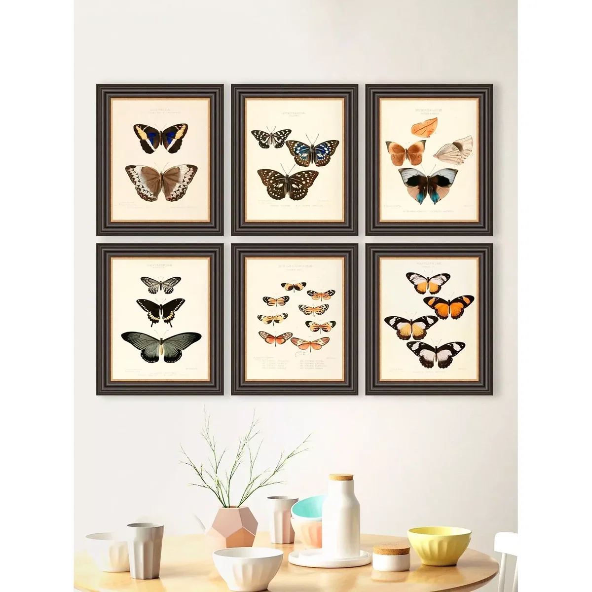 Butterflies Framed Prints, Set of 6, 37 x 31cm, Multi – image 2