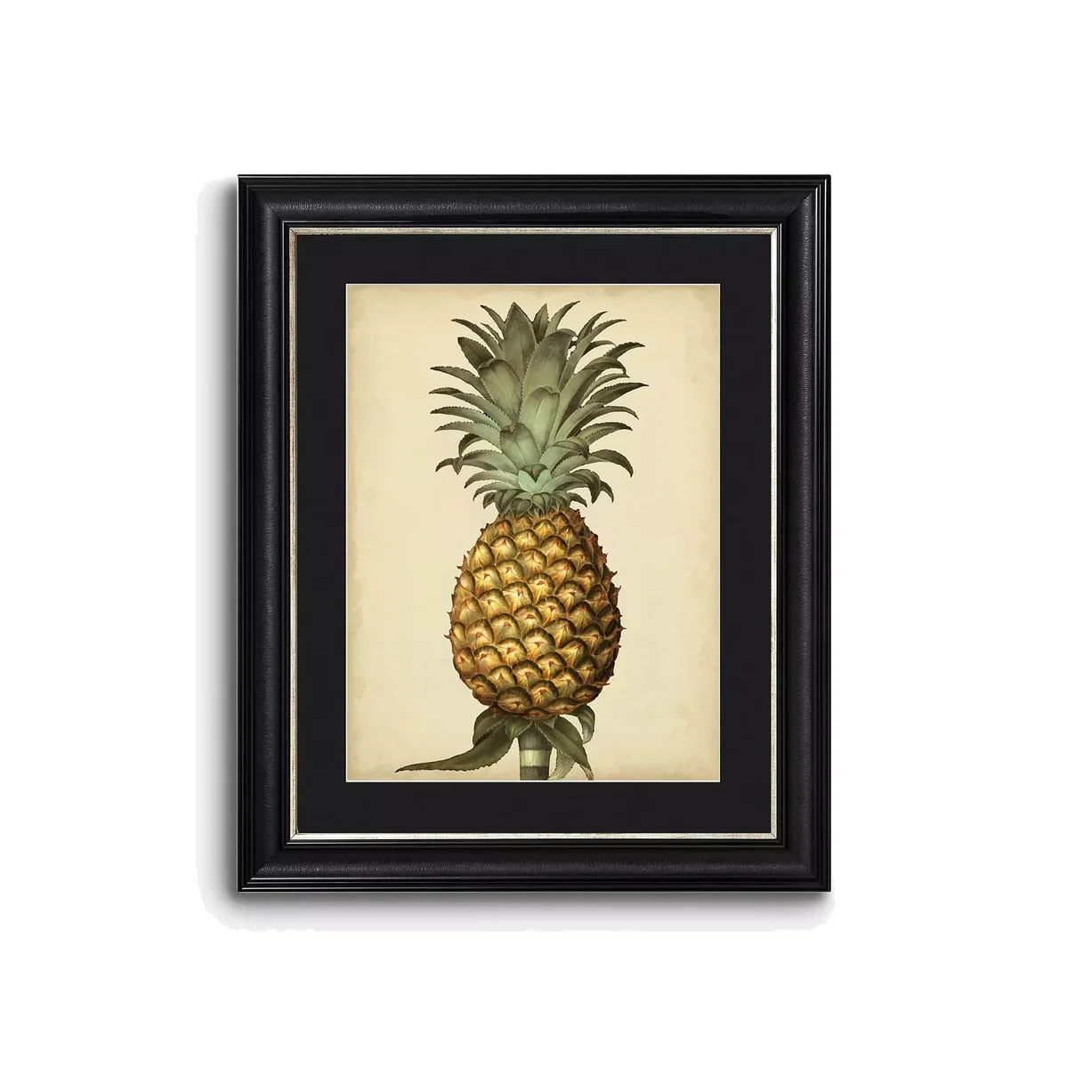 George Brookshaw - Antique Pineapple I Framed Print & Mount, 60 x 50cm, Black/Multi