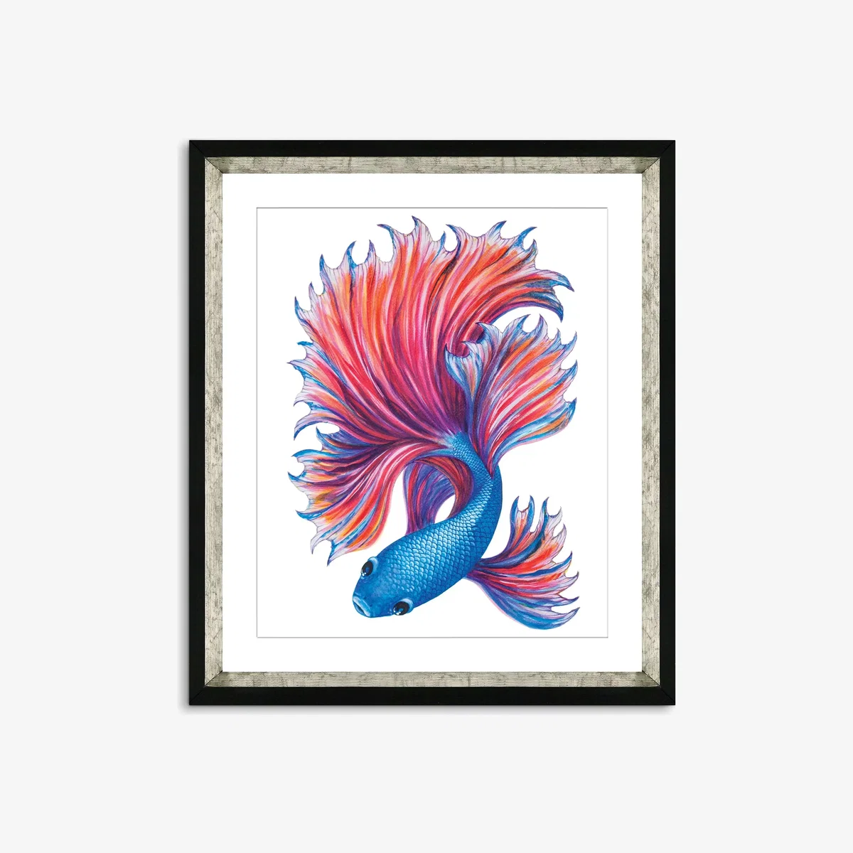 Fancy Fish 2 - Framed Print & Mount, 56 x 46cm, Red/Blue – image 1