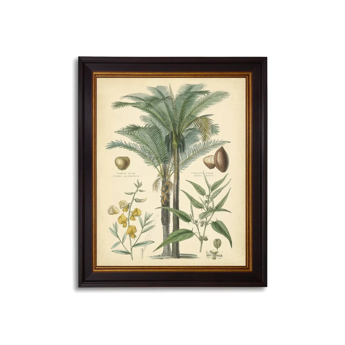 Fruitful Palm I - Framed Print, 51 x 41cm, Green